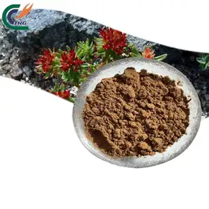 Natural Rhodiola Rosea L Soluble en agua Rhodiola Rosea Extracto Rosavin 3% Salidroside 1% Polvo