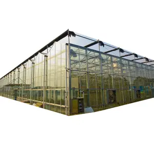 Venlo Floated Glass Agricultural Greenhouse For Sale