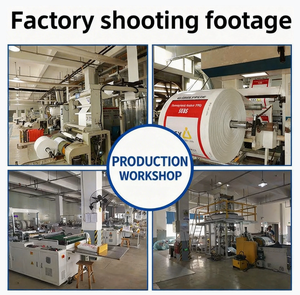 Sacs d'emballage en LDPE recyclables sur mesure de 25 kg, adaptés aux additifs alimentaires, avec des propriétés de haute résistance - Product Image 2