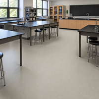 Rollo de Suelo Vinílico Heterogéneo Comercial, Resistente al Desgaste, Impermeable, Revestimiento de PVC para Hoteles, Oficinas, Escuelas y Proyectos