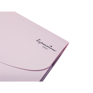 Cartella Portadocumenti Espandibile <span class=keywords><strong>A4</strong></span> Personalizzata con 7 Tasche, in Materiale PP, Multicolore, per Ufficio, Tipo Fisarmonica - Product Image 6