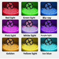 Bande LED intelligente USB IP65 SMD5050 RGB en cuivre 1m, thème jungle, effet phosphorescent, contrôle tactile à distance, films transparents ultra-fins