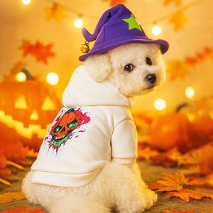 Teddy Bichon Poméranien Petit Chien Chiot Sweat-shirt Style Classique Imprimé sur Polyester pour Printemps Automne Halloween Happy Cat Days - Product Image 5