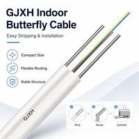Câble de branchement intérieur FTTH GJXH le plus vendu, SM G652D G657A2, 2 fibres, LSZH, type arc, expédition rapide