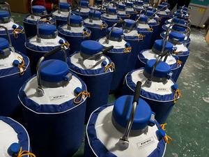 Tanque de Armazenamento de Nitrogênio Líquido de Alta Capacidade 10L em Liga de Alumínio YDS-10-50 com Operação Fácil para Programas Comerciais de Reprodução - Product Image 5