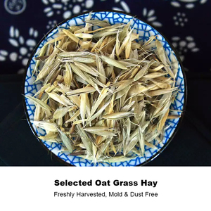 Cáscaras de Avena Secas a Granel Yanmai Ke Originales de China como Té Verde Natural - Product Image 5