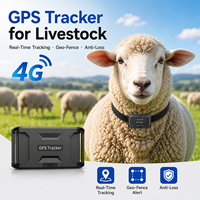 Traceur GPS sans fil OEM étanche IP67 avec historique de navigation et géolocalisation pour le suivi du bétail, des moutons et des vaches