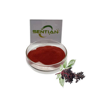 Poudre de sureau noire biologique de sureau Brindille de sureau Williams/Poudre de sureau séchée - Product Image 2