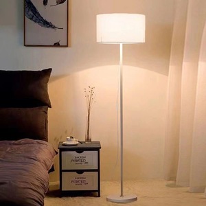 Bắc Âu Phòng Khách Hiện Đại Phòng Ngủ Văn Phòng Khách Sạn Trang Trí Nội Thất LED Thiết Kế Đèn Sàn Tối Giản Dọc Đứng Đèn Với Ánh Sáng - Product Image 4