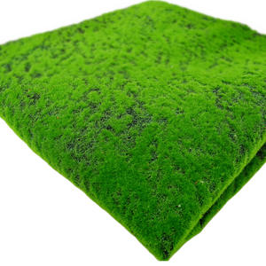 Bola Lumut Hijau Alami EG-G200 DIY, Lumut Hutan Asli Kering dan Datar untuk Dekorasi Dinding - Product Image 6