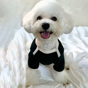가을 겨울 반려동물 후드티 - 소형견 및 고양이용 고급 폴라 플리스 스웨터 | 비숑/테디/포메라니안 - Product Image 4