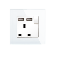 Bingoelec UK 13A prise commutée avec petit bouton marche/arrêt avec USB A + C 2.1A CE z-wave 220V panneau en plastique prise britannique 86*86mm