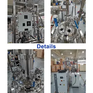 Advanced 50l Stainless Steel Lab Chemical Reactor Crystallization Decarboxylation Reactor System