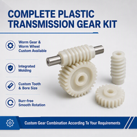 Set Roda Gigi Cacing POM Tahan Aus dengan Kebisingan Rendah, Non-Standar, Cetakan Injeksi Kustom, Pelumas Sendiri untuk Servo DC/Mini