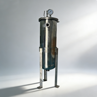 Filtre à sac sanitaire en acier inoxydable : Haute capacité, conception à couvercle plat pour l'alimentation et les boissons, la peinture, les revêtements et l'encre.