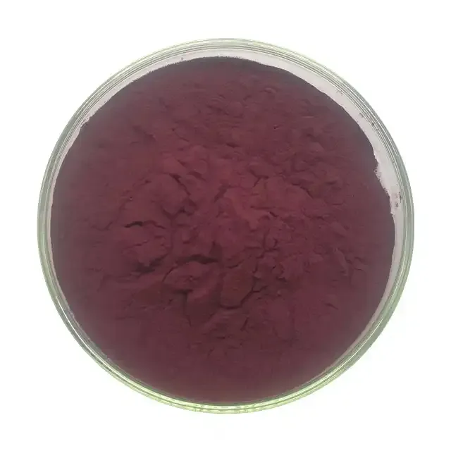 Natural Anthocyanidins 10% 25% Black Chokeberry Extract