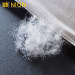 Producto más vendido Pure White Duck Down Edredón Venta caliente Edredón interior - Product Image 4