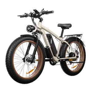 Oem 스노우 팻 타이어 Ebike 48V 1000W 16Ah 디자인 전자 자전거 새로운 전기 자전거 전기 자전거