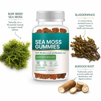 Gummies de mousse de mer irlandaise à marque privée avec fucus et racine de bardane pour le soutien de la thyroïde et du système immunitaire – Vente en gros