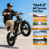 Vélo Électrique Qlife Us Stock E-Bike Pneus Larges 48V15.6A 750W pour Hommes Adultes Spark D2 Street ODM OEM Vélo Électrique Urbain pour Femmes Dropshipping