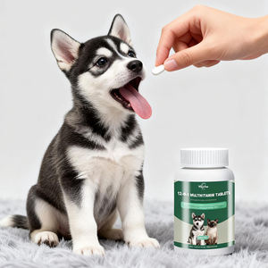 فيتامينات متعددة 12 في 1 للكلاب على شكل أقراص قابلة للمضغ، مكمل غذائي للحيوانات الأليفة للعناية بالصحة والبشرة وصحة القلب - Product Image 4