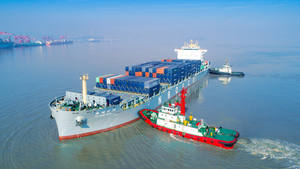 전문 특급 방문화물 운송 서비스 UPS DHL LCL FCL 중국에서 인도까지 오만 필리핀 토론토 - Product Image 5