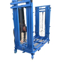 Plateforme élévatrice à portique bi-sectionnelle télécommandée électrique 6M, capacité 500kg, table de 1,35x0,75m, échafaudage