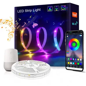 Fabbrica Custom Sync musica RGB Smart Light Strip luce LED multicolore con microfono e APP Google Alexa
