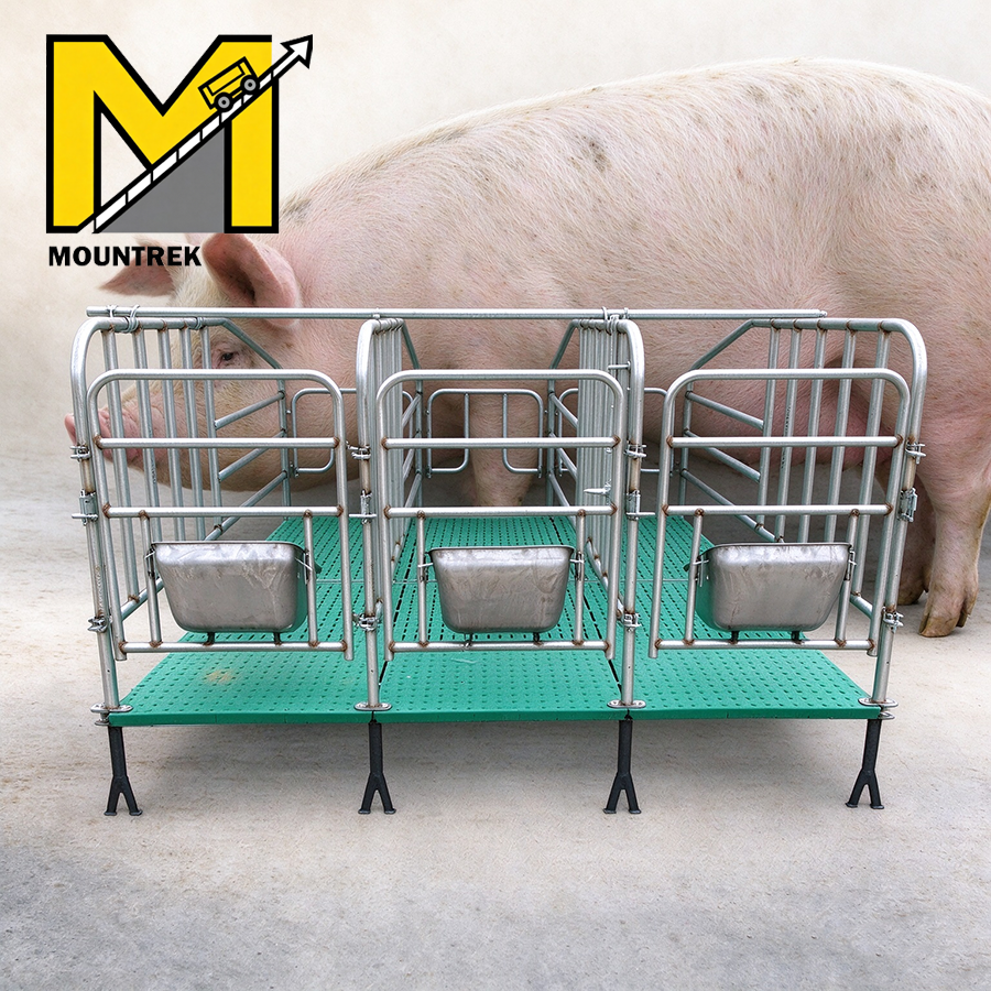 Hot Galvanized Pig Gestation Pen Durable Steel Sow Confinement Stall ...