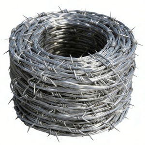 Filo Spinato in Ferro Calibro 16, Rotolo da 500m con Punte Gratuite, Prezzo Conveniente per Recinzioni e Cancelli, Campioni Gratuiti Disponibili - Product Image 6