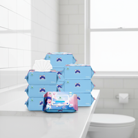 <strong>Best</strong> <strong>Selling</strong> China Custom Eco-friendly Biodegradable Adult Disposable Toilet Cleaning <strong>Wipes</strong> with Seat