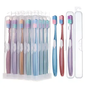 Wholesale Custom Private Label Cheap Ultra Soft Bristle Travel Portable Plastic Toothbrush With PET Case