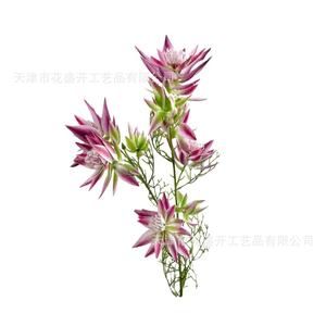 Bouquet de fleurs artificielles en soie, haute simulation, pour mariage et décoration intérieure, violet foncé, vert herbe, rose, réutilisable - Product Image 5