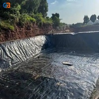 Precio de Lámina de Geomembrana de HDPE para Revestimiento de Vertederos, 2 mm, Estándar ASTM, Protección Impermeable Anti-UV, Fabricantes de Revestimientos
