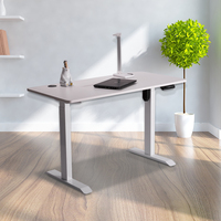 Bureau debout électrique à moteur unique, réglable en hauteur, fourni directement par l'usine