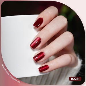 Jelly Red Glitter Cat Eye <b>Gel</b> <b>Nail</b> Polish <b>Set</b> with Magnet 6 Types of Holographic Cat Eye, Salon - Product Image 5