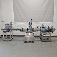Petite machine automatique de traitement de l'eau, ligne de production de remplissage, de bouchage et d'étiquetage de bouteilles en plastique de 500 ml pour les boissons