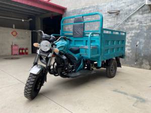 Buatan Cina baru kecepatan tinggi tugas berat 175cc roda tiga, bahan bakar pertanian sepeda motor bensin - Product Image 3