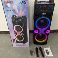 Altavoz Karaoke Portátil OEM NDR-1100 de 10 Pulgadas de Alta Potencia para Exteriores con Bluetooth, 2 Micrófonos, Luces LED, para Fiestas, DJ, HIFI, Inalámbrico