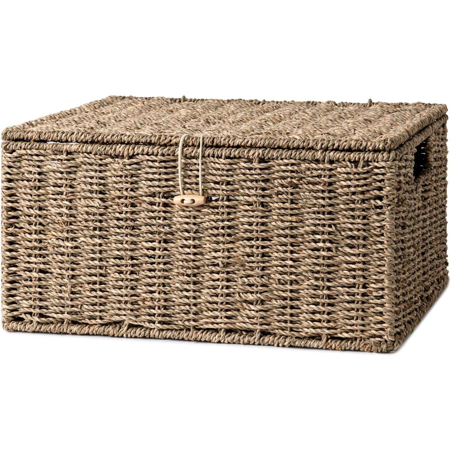 ธรรมชาติ (หญ้าทะเล)