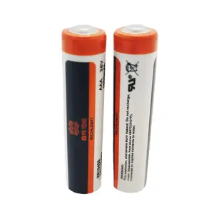 ER10450工厂批发3.6v 950mah AAA小型锂不可充电Lisocl2电池水表电池