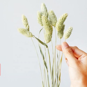 Ramo <span class=keywords><strong>de</strong></span> flores secas naturales para decoración del hogar y boda, 2023 unidades, gran oferta - Product Image 1