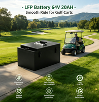 OEM Customized E-bike Battery 60V 25Ah-150Ah LiFePO4 Battery for E-Motorcycle/E-Tricycle/Solar Backup/Motorcycle Scooter Battery