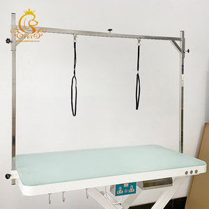 Table de toilettage pour animaux de compagnie électrique réutilisable EUR PET, meilleure vente, table de coupe de <span class=keywords><strong>cheveux</strong></span> pour chien - Product Image 5