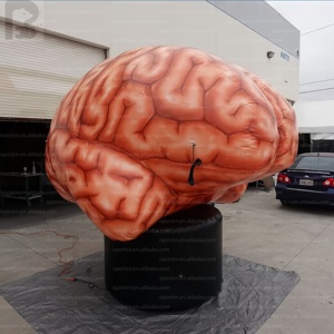 Modelo de Cerebro Inflable Impreso Personalizado de Gran Tamaño, Escultura Realista de Órgano Médico para Activación de Marca <span class=keywords><strong>en</strong></span> Comercios/Salud Pública - Product Image 1
