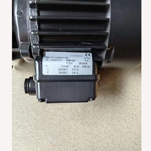 全新原装工业机器浸入式泵 KTF52/300-07+193 - Product Image 1