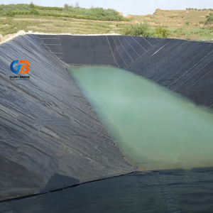 Geomembrana de HDPE Resistente a los Rayos UV para Almacenamiento de Estiércol en Granjas, Lagunas, Piscifactorías, Sistema de Revestimiento Duradero y a Prueba de Fugas - Product Image 5