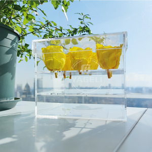 Phong cách mới trong suốt hoa hiển thị tùy chỉnh trang trí Acrylic hoa trường hợp cho hiển thị chỉ - Product Image 1