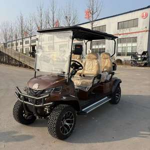 Voiture de golf tout-terrain électrique personnalisable multifonctionnelle - Product Image 1