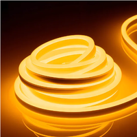 Bande lumineuse fluo led flexible, étanche IP65, 12V, 8x16MM, simple face, blanc chaud, 3000K, pour enseigne au néon